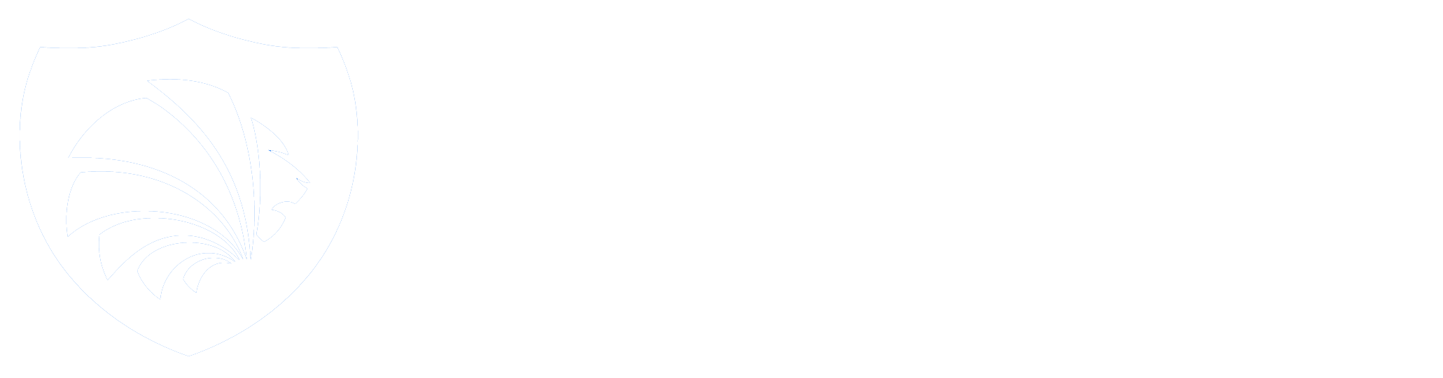 Lead FSO